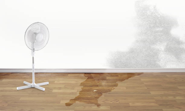 Best Water damage restoration near me  in Corte Madera, CA