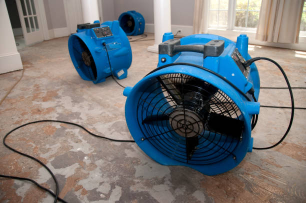 Best Ceiling water damage repair  in Corte Madera, CA