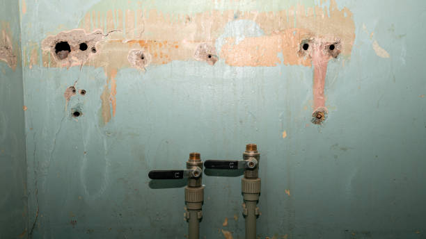 Best Professional water damage repair  in Corte Madera, CA