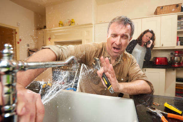 Best Mold removal after water damage  in Corte Madera, CA